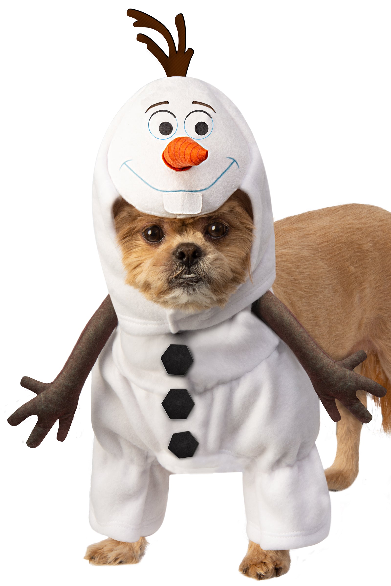 Olaf Pet Costume