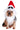 Jack Skellington Holiday Pet Hat