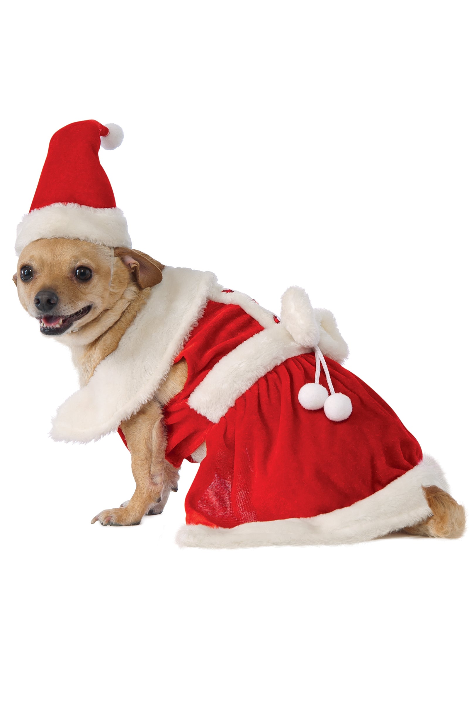 Mrs.Claus Pet Costume