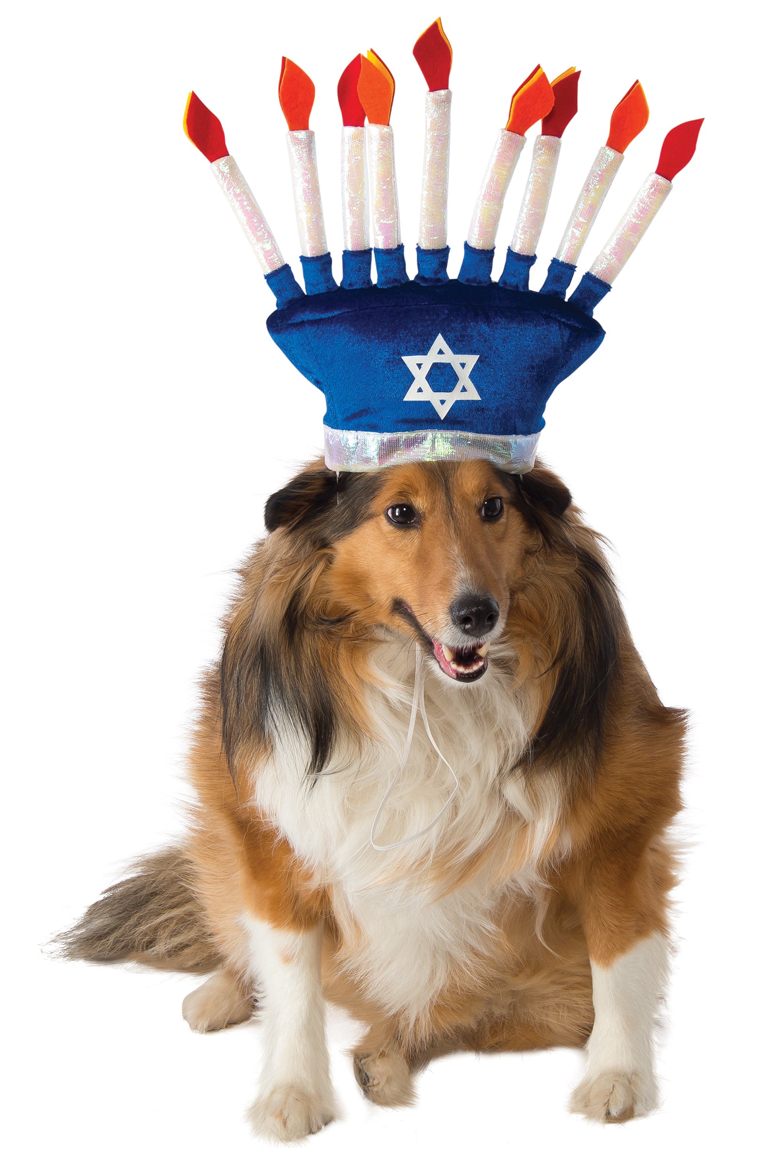 Menorah Pet Hat