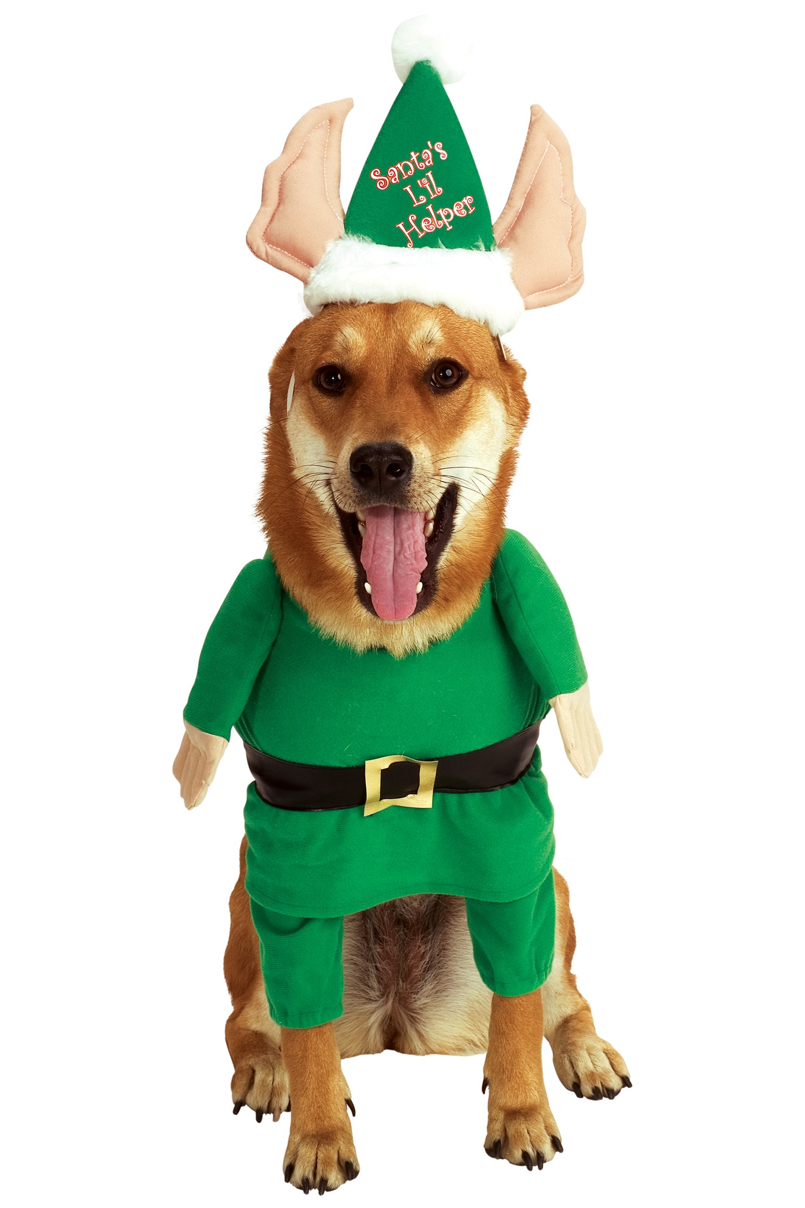 Santa's Helper Pet Costume