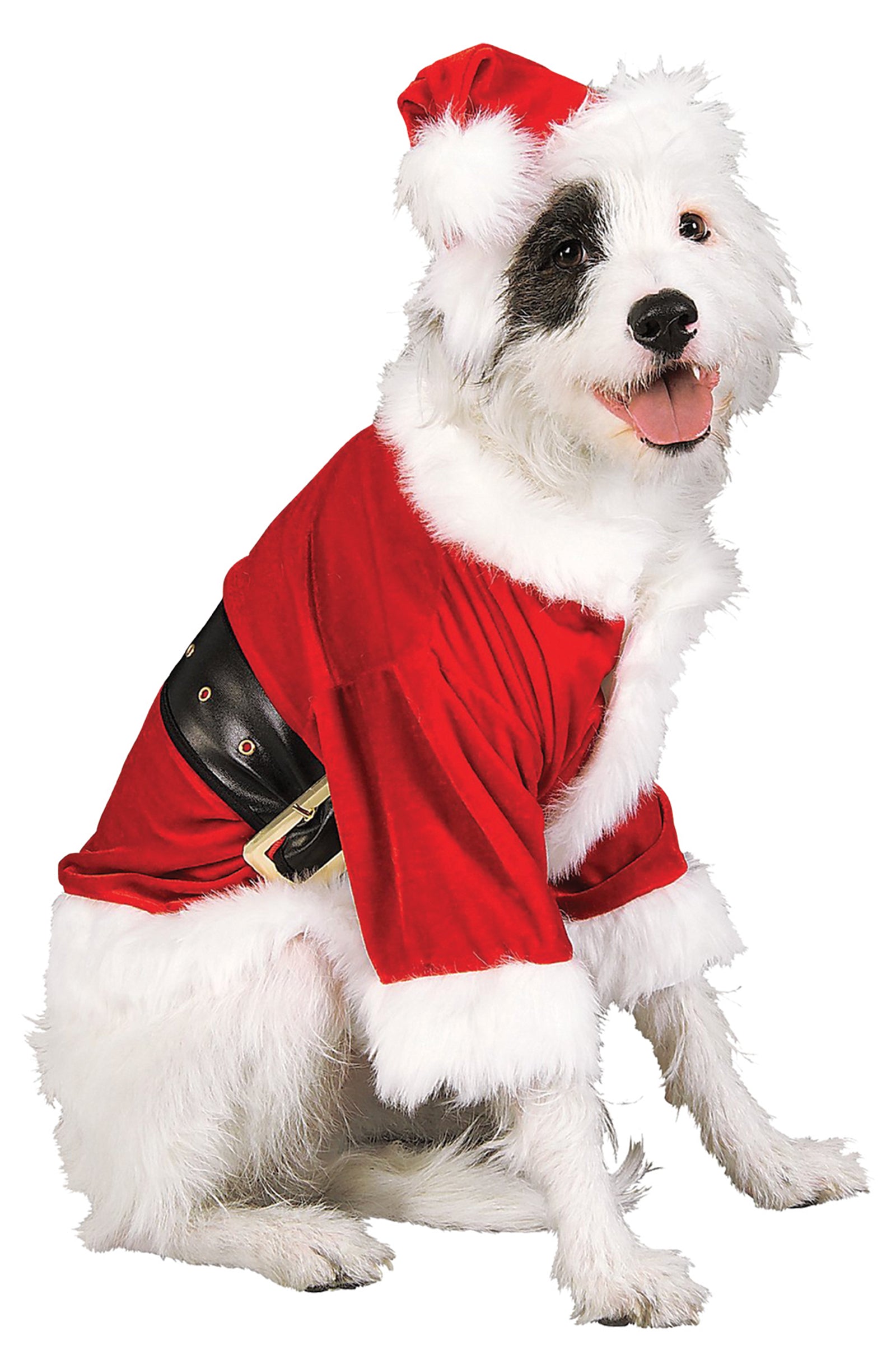 Santa Claus Pet Costume